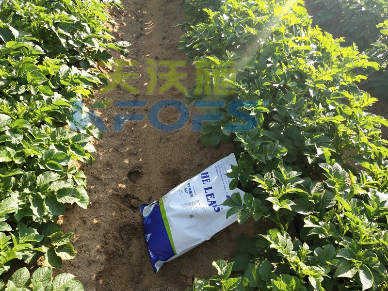 8年種植經(jīng)驗(yàn)老農(nóng)說，種土豆用什么肥料好！