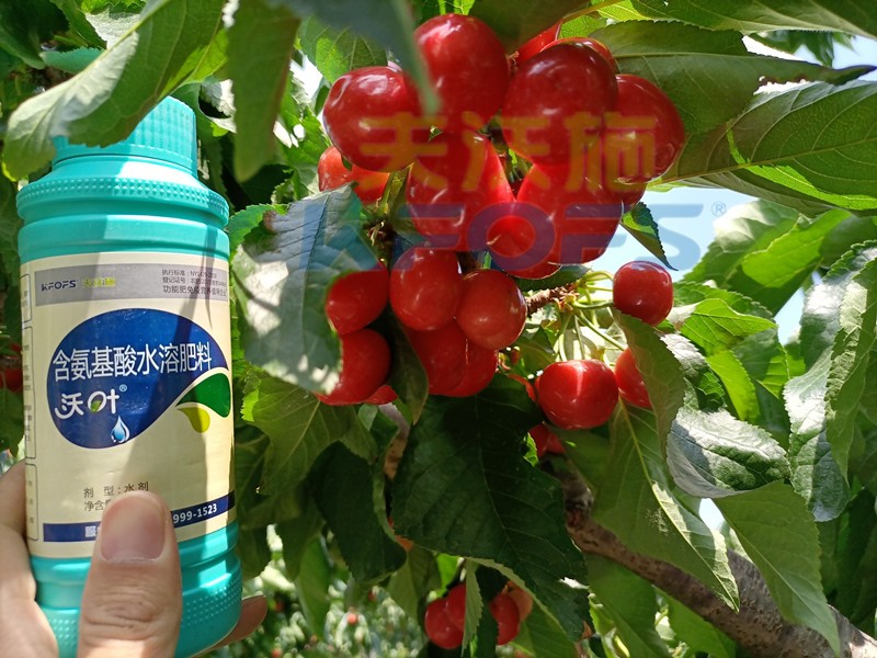 這款水溶肥，種植戶都愿意長期使用！