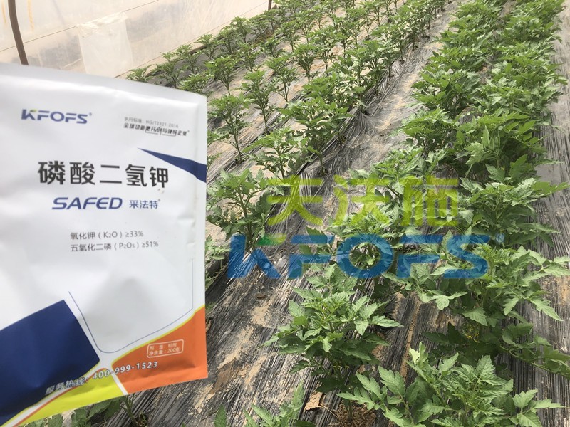 好的磷酸二氫鉀是什么樣的？