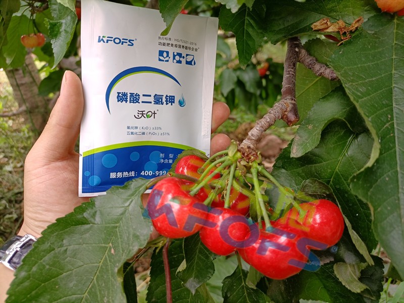 磷酸二氫鉀的正規(guī)廠家哪個好？這些方面要記牢！