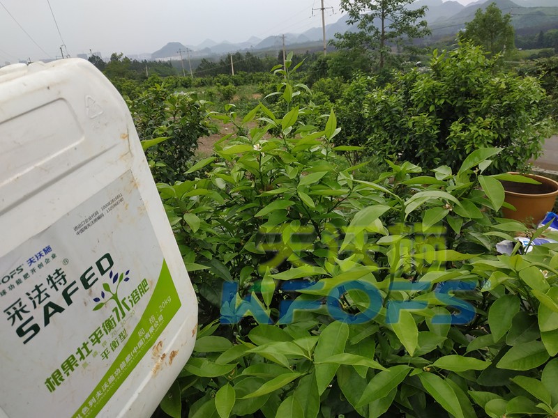水溶肥的合理價格究竟如何判斷？這幾點很重要！