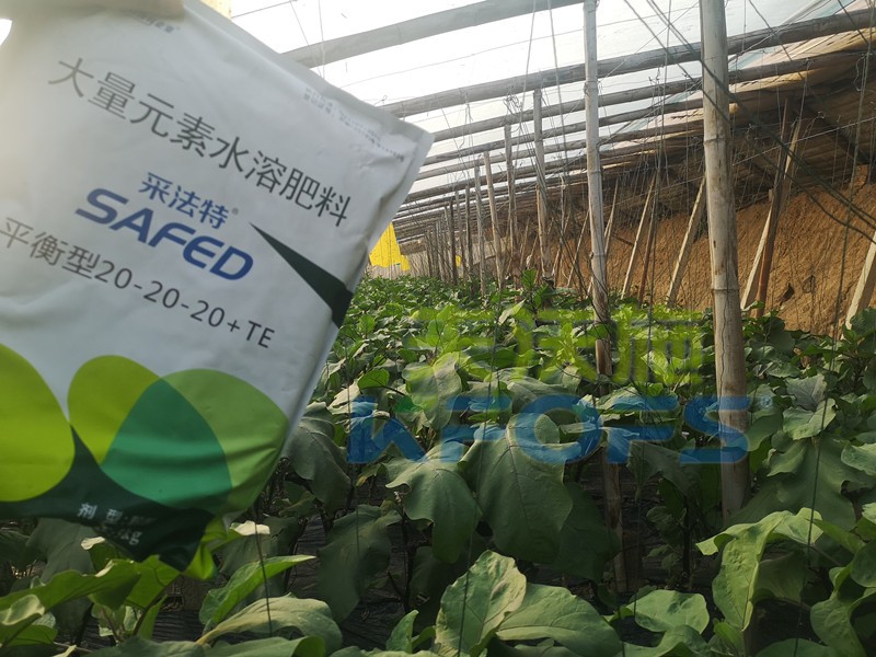老農(nóng)資人都認準哪款大量元素水溶肥？