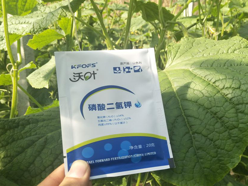 夫沃施離子磷酸二氫鉀，效果看得見！