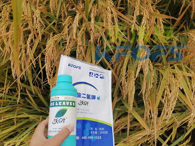 磷酸二氫鉀的用途真大，這三條必看！