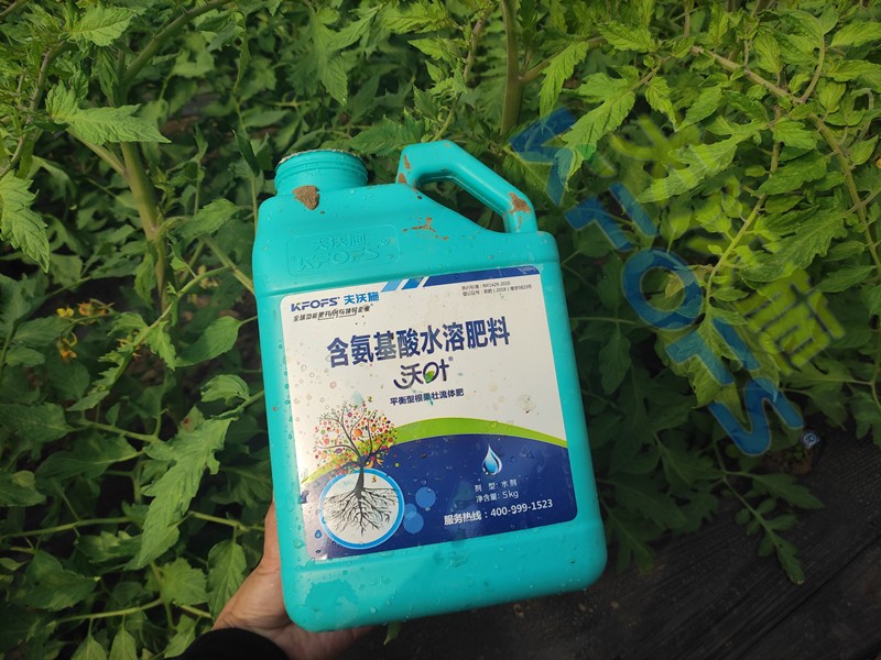 水溶肥的合理價格是多少？聽聽種植戶怎么說