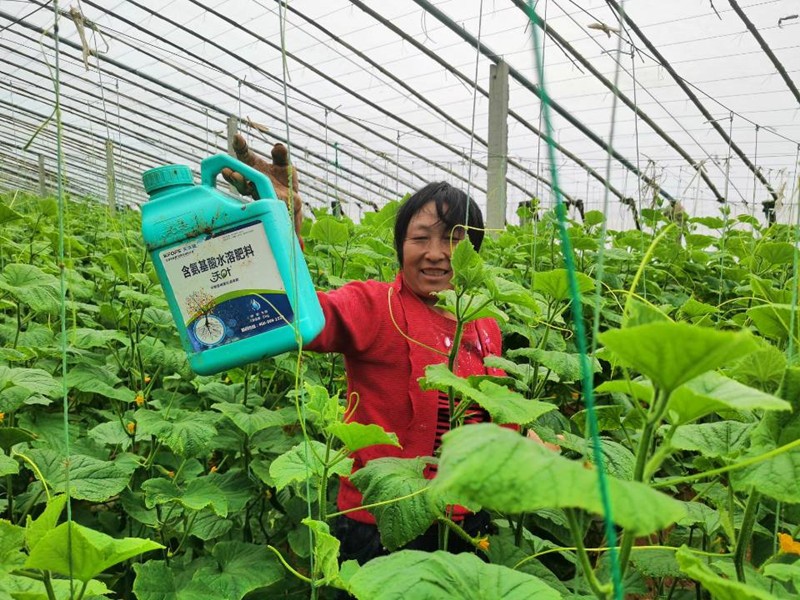 蔬菜沖施肥怕凍嗎？
