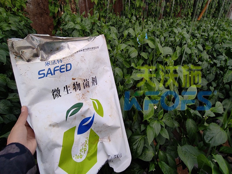 微生物菌劑，你不知道的秘密在這里！