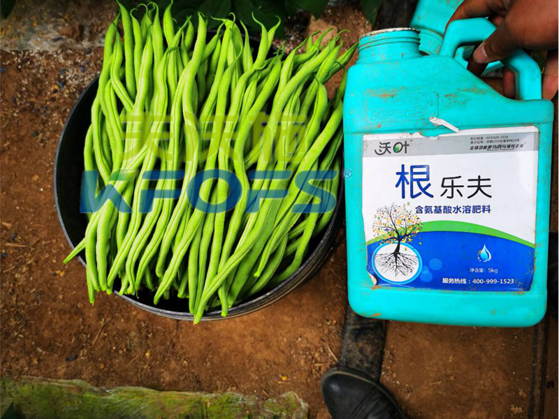 豆角用什么肥料產(chǎn)量高？效益好？