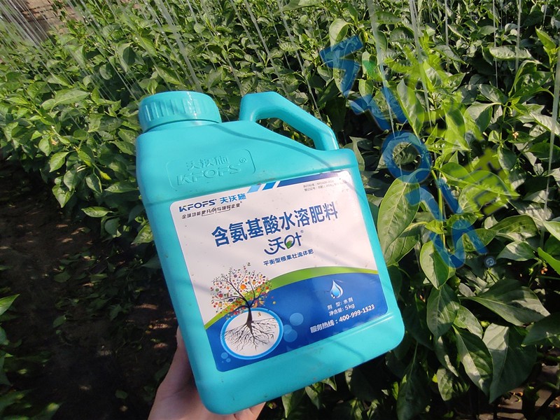 水溶肥與沖施肥有什么區(qū)別？