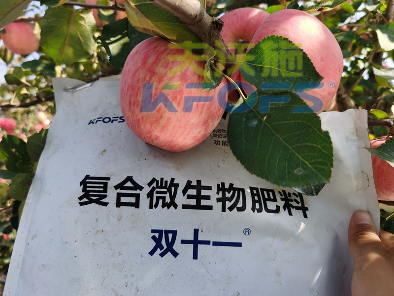什么樣的水溶肥廠家值得客戶長期跟隨？