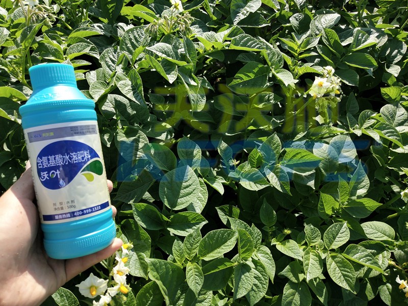 水溶肥防寒抗凍套餐，種植者值得一看！