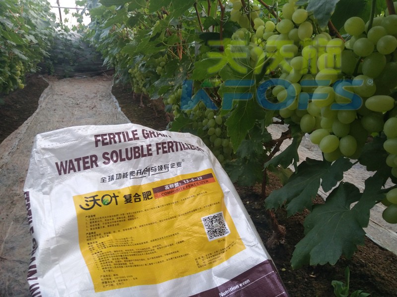 好的水溶肥都具備哪些品質(zhì)？