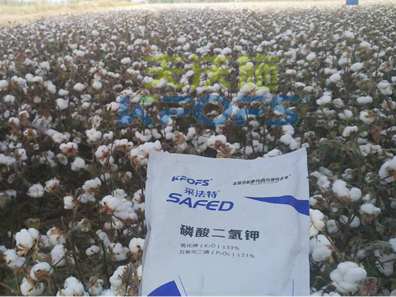 水溶肥哪家好？楊老板說他只信賴采法特！
