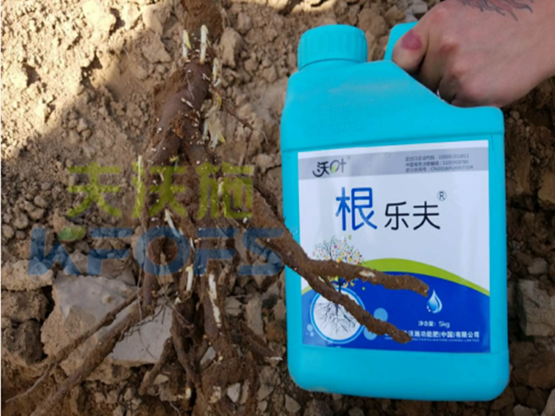 水溶肥越來越難做，他竟然能如此輕松？讓我們一探究竟！
