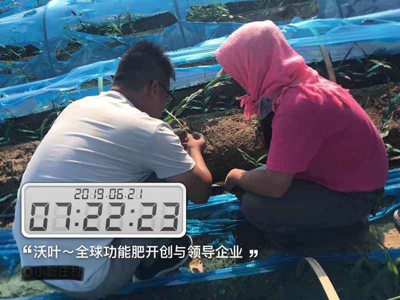 農(nóng)資銷售的堅(jiān)硬壁壘將如何打破！.png