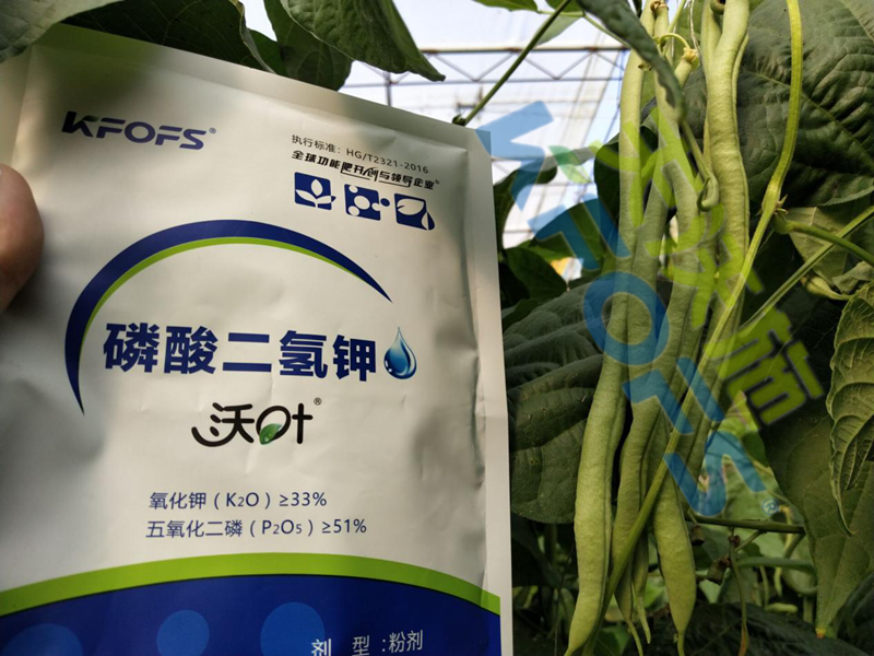 磷酸二氫鉀多少錢一噸？它們有什么差別？