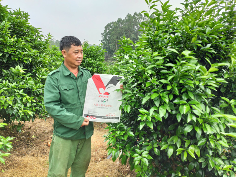水溶肥品牌的選擇，種植戶有發(fā)言權(quán)