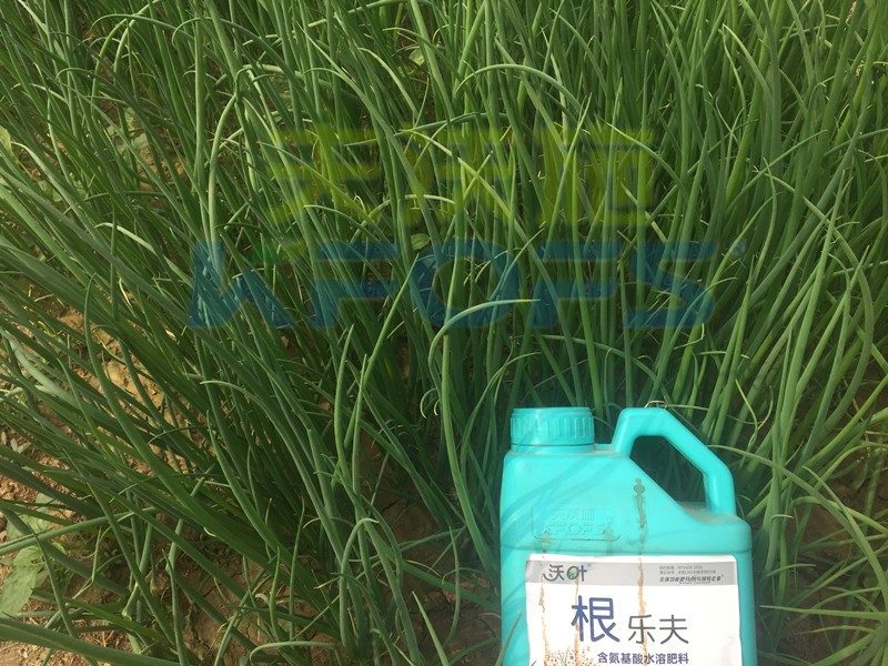 生根劑如何使用效果好，有保障呢？