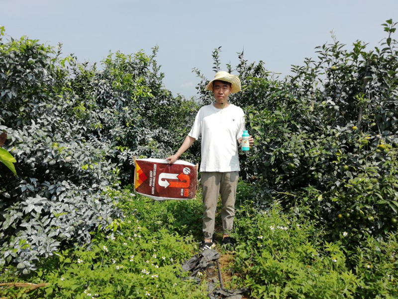 顆粒水溶肥-沃葉顆粒水溶肥用戶(hù)見(jiàn)證.png