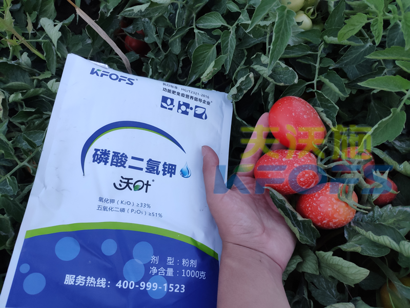 磷酸二氫鉀哪個(gè)牌子的可以選？你用對(duì)了嗎？