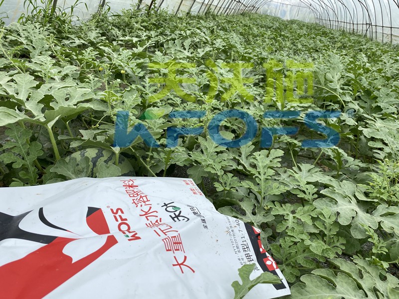 沃葉水溶肥怎么樣？這么多種植戶選擇