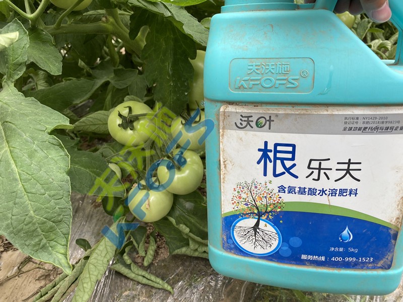 水溶肥品牌哪家好，如何找尋增產(chǎn)增效產(chǎn)品