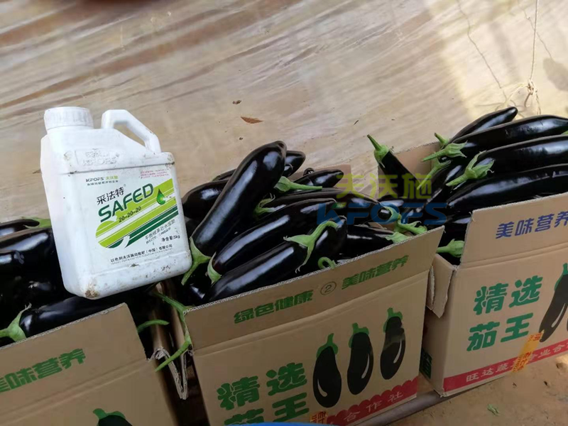 水溶肥效果怎么樣？哪家好？