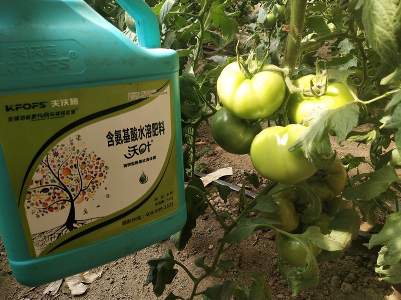 水溶肥哪個(gè)品牌好？看種植戶怎么說(shuō)！