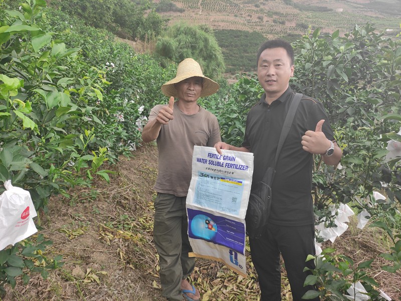 進口水溶肥的優(yōu)點有哪些