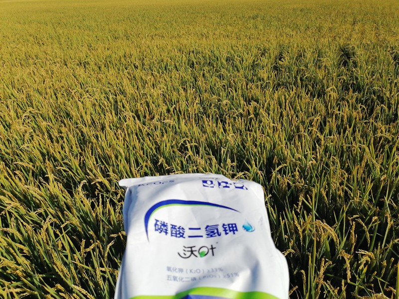 三分鐘看懂磷酸二氫鉀哪個(gè)品牌好！