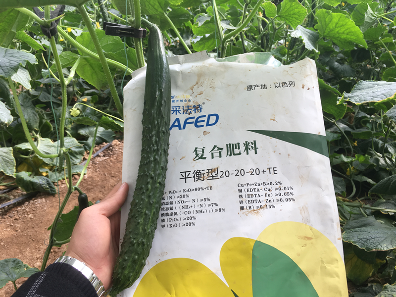 水溶肥和復(fù)合肥到底哪種好？
