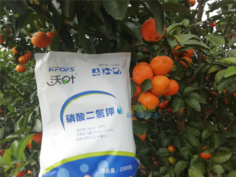 磷酸二氫鉀施用事半功倍，果樹補鉀應(yīng)怎么選？