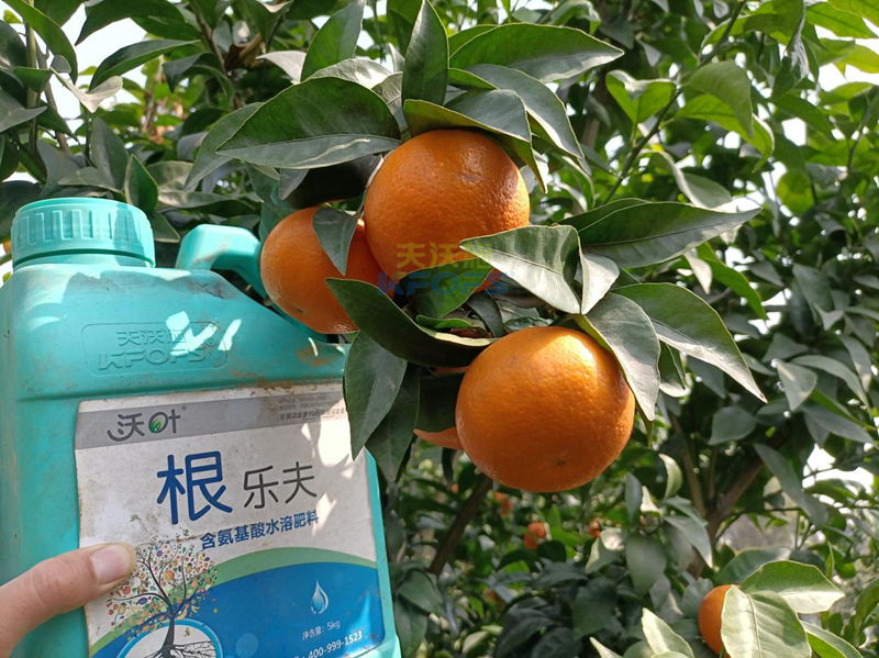 果樹春季施肥最佳時間，要把握住！
