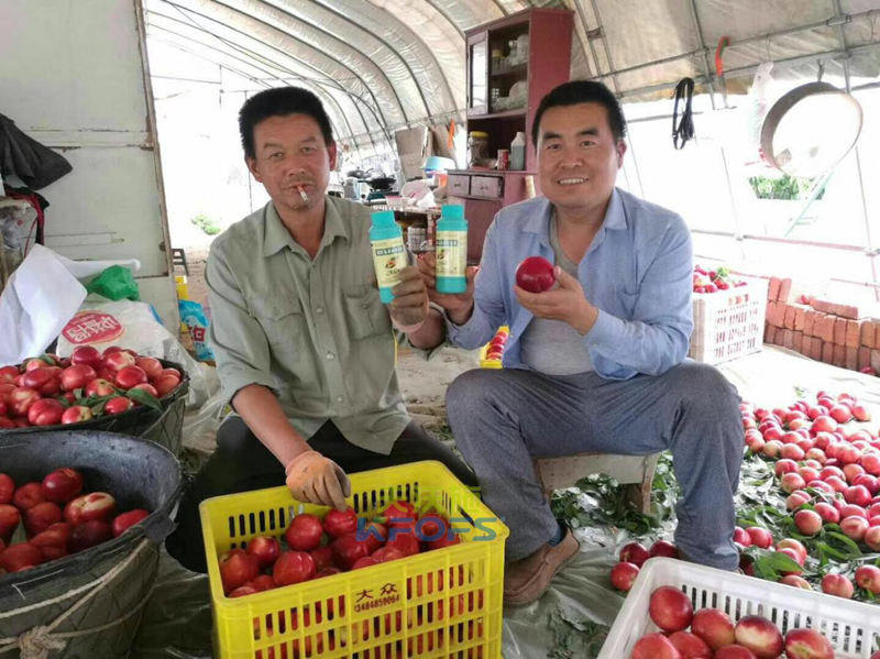 葉面肥什么時候打效果好？記住這幾個節(jié)點！