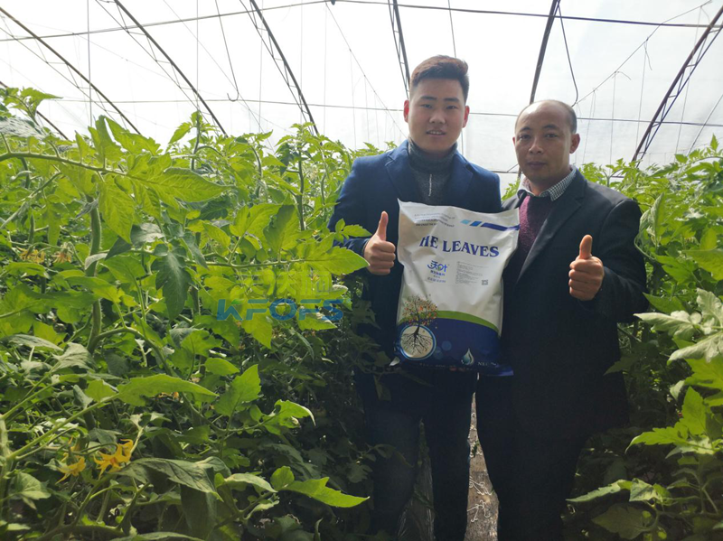 50年后的土壤如何，值得我們深思!