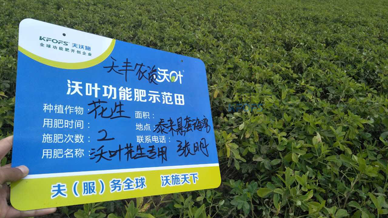 花生增產(chǎn)葉面肥用哪些好？
