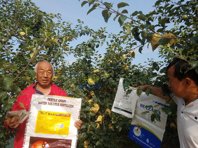 蘋果樹施什么肥好？