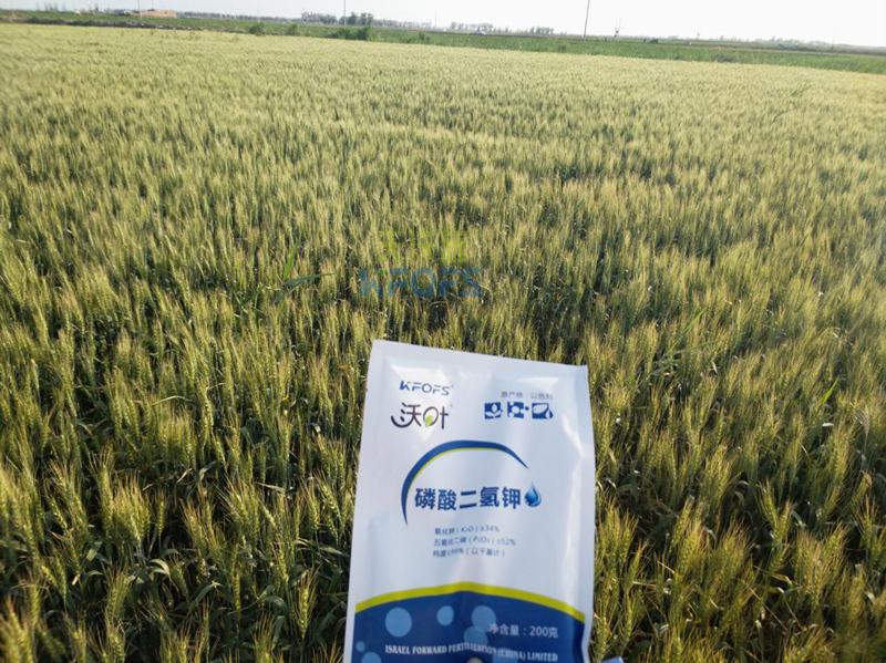 磷酸二氫鉀哪個品牌好？