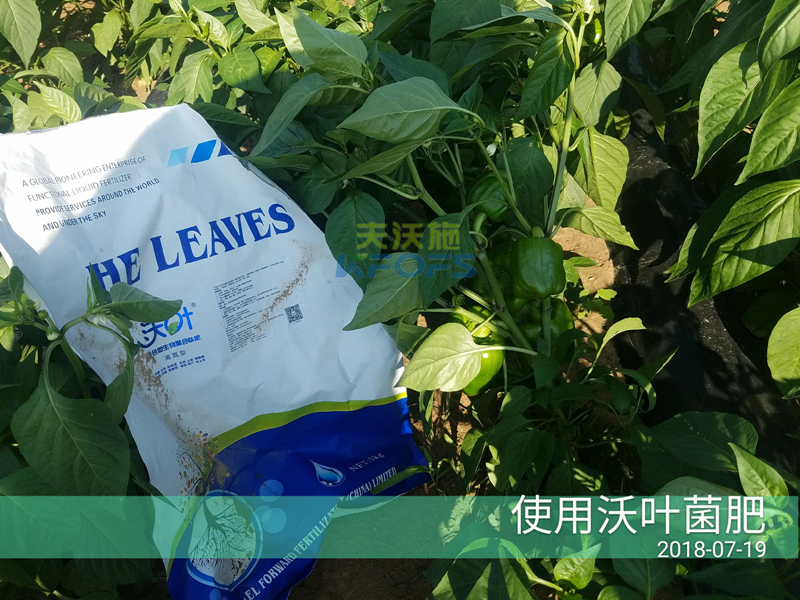 生物菌肥作用？