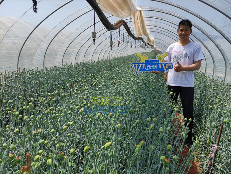 進(jìn)口水溶肥怎么選？王總的答案！