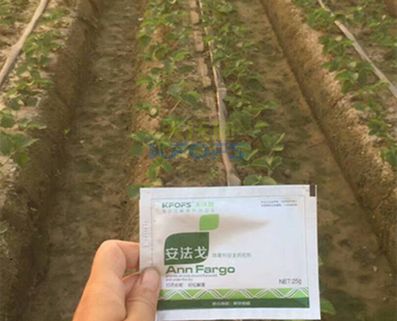 除草劑厲害是哪種？1.png