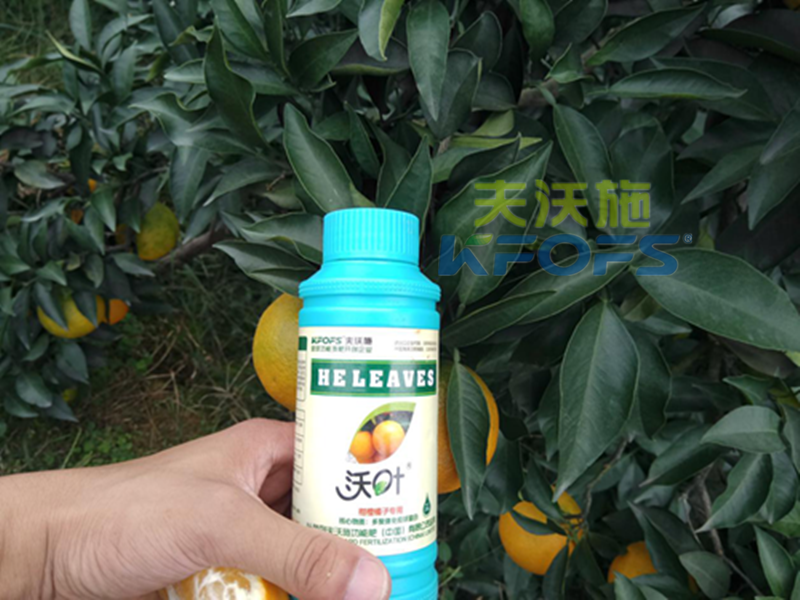葉面肥能預(yù)防作物早衰嗎？1.png