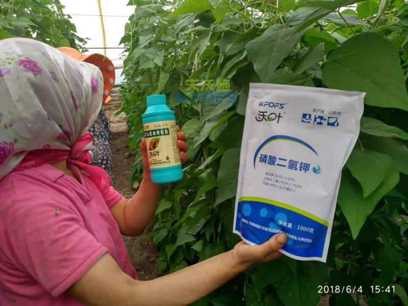 豆角需要什么樣的沖施肥？