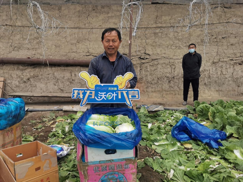 水溶肥那么多，你真的選對了嗎？