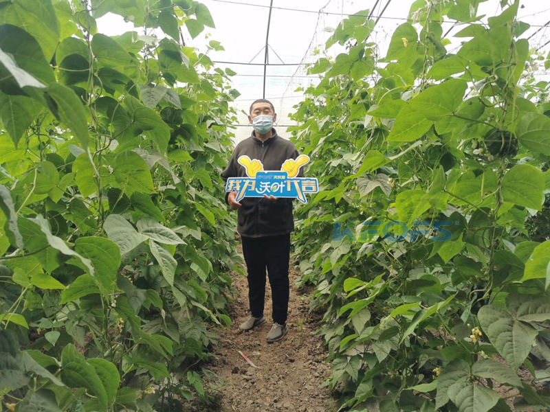 什么是水溶肥-夫沃施沃葉水溶肥用戶見(jiàn)證1.png