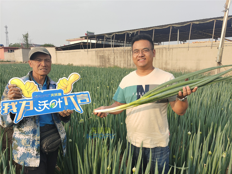 進(jìn)口水溶肥以色列夫沃施，讓更多人受益！