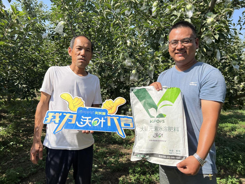 桃樹(shù)施肥時(shí)間和方法-沃葉水溶肥系列.png