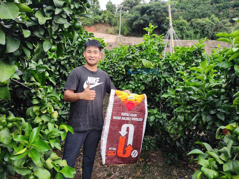 水溶肥用在柑橘上效果怎么樣？