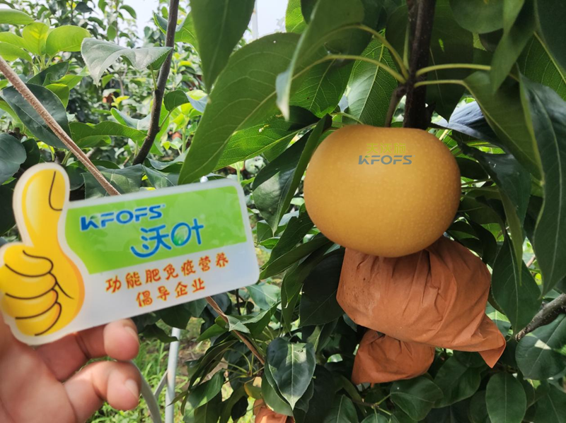 水溶肥怎么選？李總來(lái)幫你支招