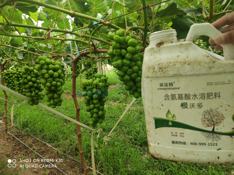 水溶肥怎么選？夫沃施告訴你這幾點(diǎn)